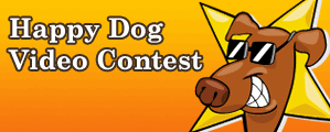 videoContest