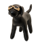 Doggles Originalz Sunglasses