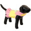 Doggles Spring Dress Harness