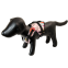 Doggles Floatation Device Vest