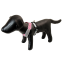 Doggles Overhead Mesh Harness