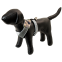 Doggles Overhead Mesh Harness