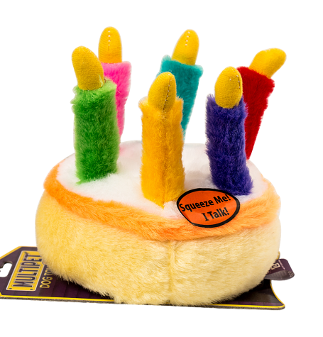 Musical Birthday Cake