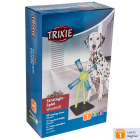 Trixie Windmill Strategy Game