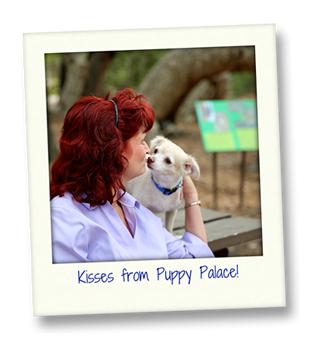 Kisses from Puppy Palace