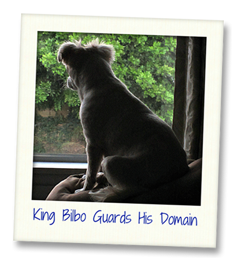King Bilbo Guards His Domain